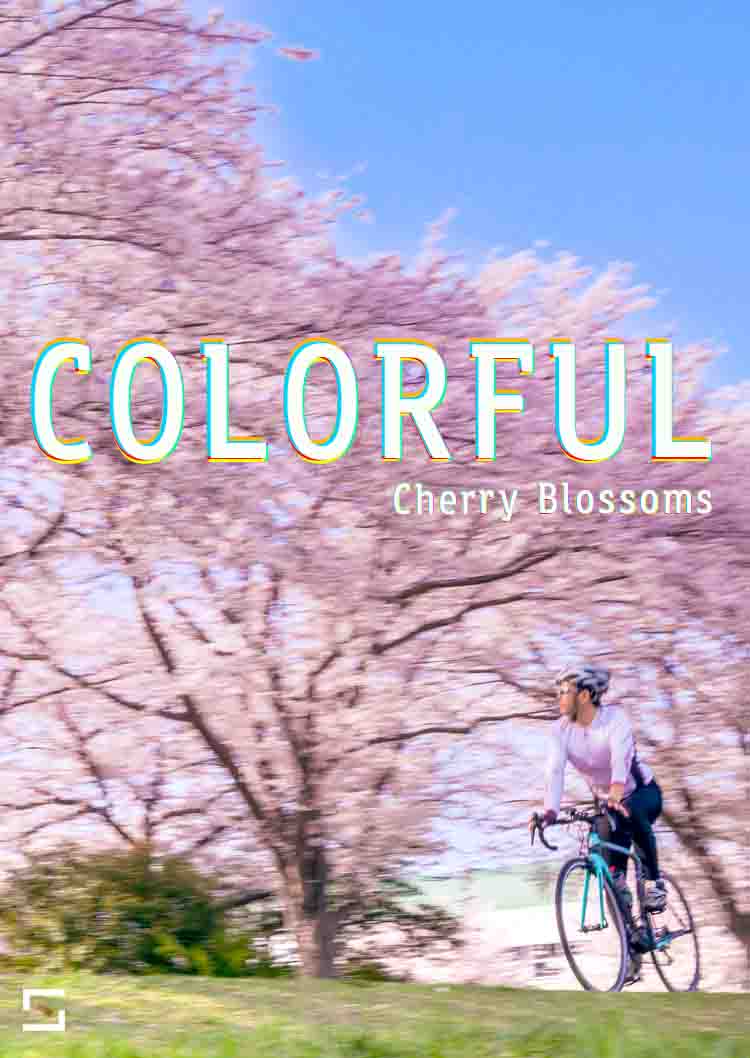 COLORFUL April 2021